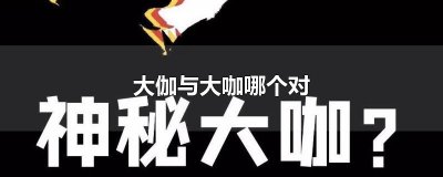 ​大伽与大咖哪个对