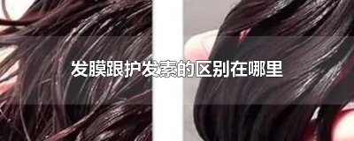 ​发膜跟护发素的区别在哪里