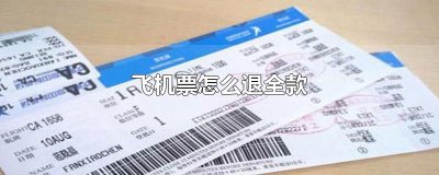 ​飞机票怎么退全款