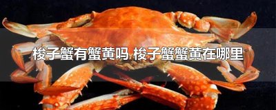 ​梭子蟹有蟹黄吗 梭子蟹蟹黄在哪里