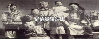 ​满清贵族姓氏的明星 满清贵族姓氏的后人