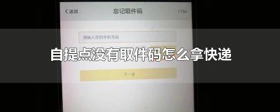​自提点没有取件码怎么拿快递