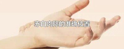 ​赤白肉际的准确位置