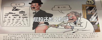 ​屁股还怎么称呼