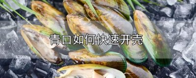​青口如何快速开壳
