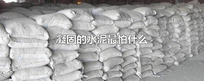 ​防止水泥凝固的东西叫什么 水泥凝固越快越好吗