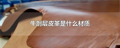 ​牛剖层皮革是什么材质