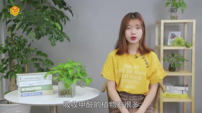 ​吸收甲醛的植物有哪些