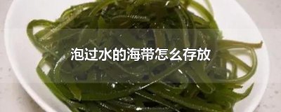 ​泡过水的海带怎么存放