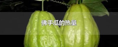 ​佛手瓜的热量