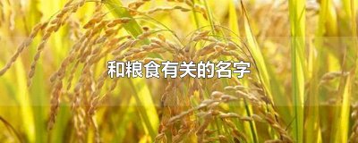 ​和粮食有关的名字