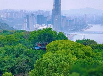 ​13集团军驻地重庆鹅岭。13军是一支极具历史底蕴的光荣队伍，