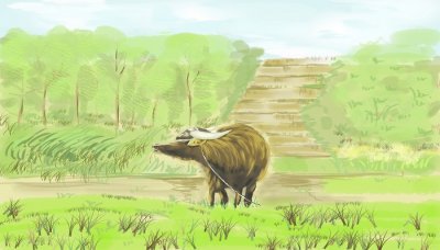 ​立春吃什么传统食物