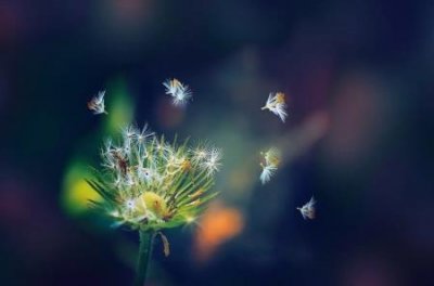 ​腰围74是多少码74腰围是几尺几是多少码