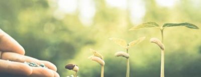 ​咖啡糖可以提神吗？咖啡糖提神吗？