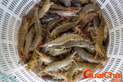 ​明虾长什么样？明虾的介绍