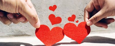 ​比翼鸟象征意义 比翼鸟代表什么象征意义