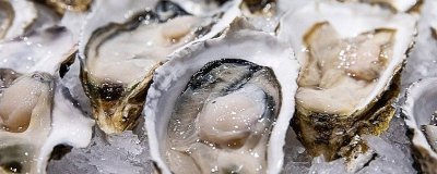 ​冷冻生蚝直接蒸要蒸多久才能吃 冷冻生蚝直接蒸可以吗