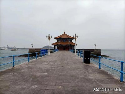 ​青岛免费赶海地推荐 有需要的可以收藏保存