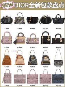 ​Dior全新包款大盘点|IT’S NEW