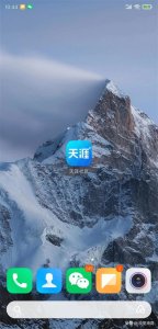 ​天涯论坛恢复了吗