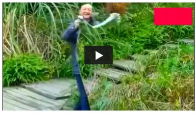 ​国产量子隐身衣面世？能隐形还能躲过夜视镜？专家：这是抠图！