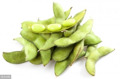 ​区分黄豆和大豆，可以弄明白什么