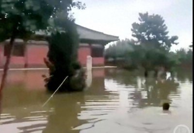 ​文保所长游泳进寺事件激起公众关注，当事人做出回应