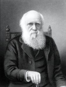 ​进化论之父：查尔斯·达尔文的一生与科学发现