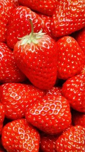 ​草莓有种子吗