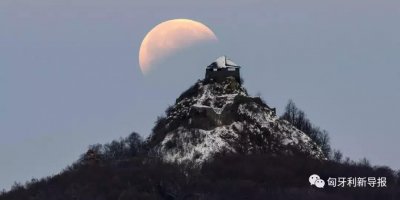 ​「罕见月食奇观」2019年“超级血狼月”