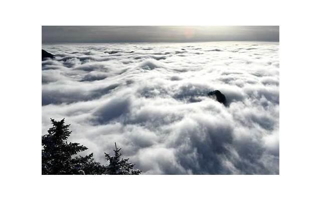 为什么焦虑型和回避型很难沟通? 为什么焦虑型和回避型很难沟通?