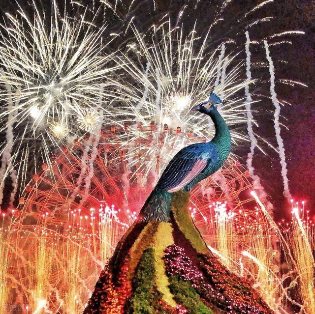 成都到大理丽江自驾游的攻略(从成都出发自驾游先到大理还是丽江先呢)(1)